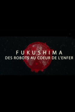 Fukushima, des robots au cœur de l'enfer (2016) Fukushima, des robots au cœur de l'enfer (2016)