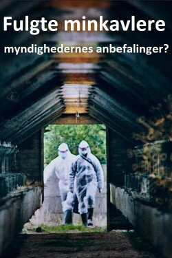 Fulgte minkavlere myndighedernes anbefalinger? (2022) Fulgte minkavlere myndighedernes anbefalinger? (2022)