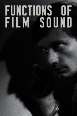 Functions of Film Sound (2013) Functions of Film Sound (2013)