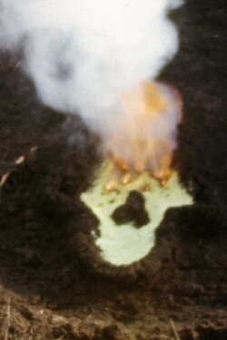 Fundamento Palo Monte (Silueta Series, Gunpowder Works) (1980)
