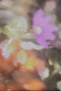 funeral (2010)