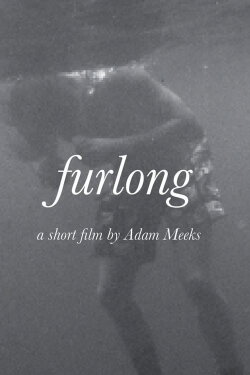 Furlong (2019) Furlong (2019)