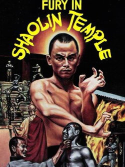 Fury in Shaolin Temple (1982)