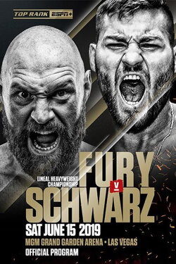 Fury vs. Schwarz (2019)