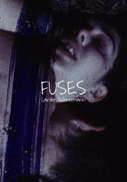 Fuses (1967) Fuses (1967)