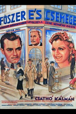 Fűszer és csemege (1940) Fűszer és csemege (1940)