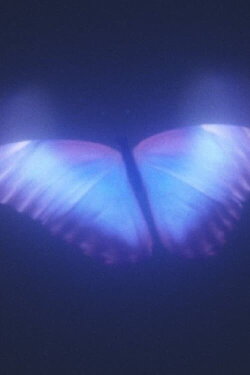 Futura's Odyssey (2023) Futura's Odyssey (2023)