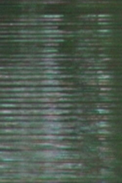G (2022)