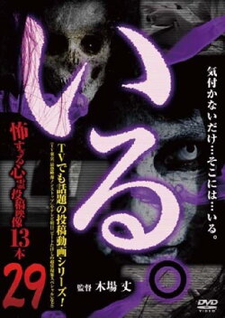 「Iru.」~ Kowasugiru Tōkō Eizō 13-hon ~ Vol.29 (2019)