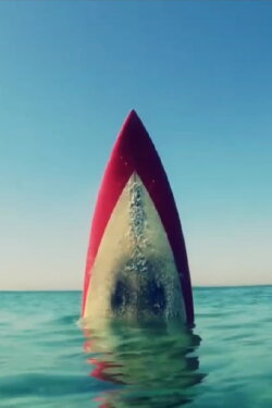 G is for Gravity (2013)