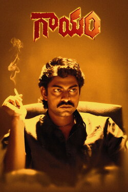 Gaayam (1993) Gaayam (1993)