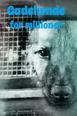 Gadehunde for millioner (2021) Gadehunde for millioner (2021)