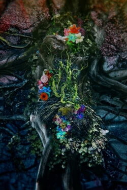 Gaia (2024)
