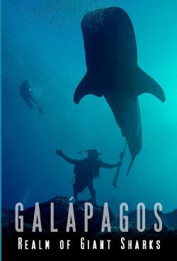 Galapagos Realm Of Giant Sharks (2012) Galapagos Realm Of Giant Sharks (2012)