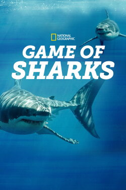 Game of Sharks (2022) Game of Sharks (2022)