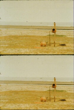 Ganga (1985)