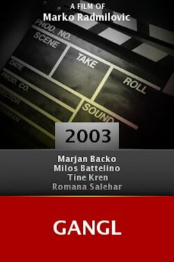 Gangl (2003)