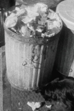 Garbage Demonstration (Newsreel #5) (1968) Garbage Demonstration (Newsreel #5) (1968)