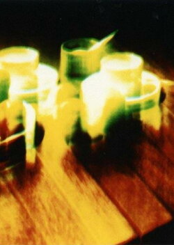 Garden of Chromatic Disturbance (1998)