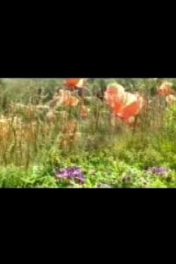 Gardening (2000) Gardening (2000)