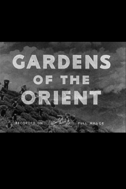 Gardens of the Orient (1936) Gardens of the Orient (1936)