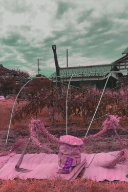 Gatakami Kagura Harvest Dance (2021) Gatakami Kagura Harvest Dance (2021)