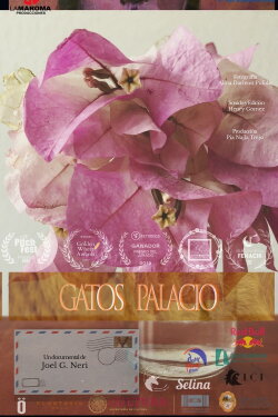 Gatos palacio (2021) Gatos palacio (2021)