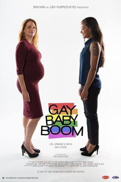 Gay Babyboom (2017)
