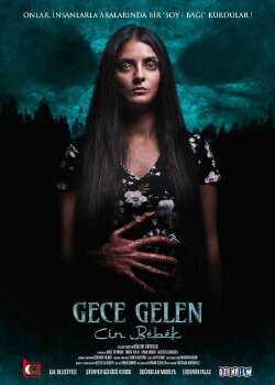 Gece Gelen: Cin Bebek (2020) Gece Gelen: Cin Bebek (2020)