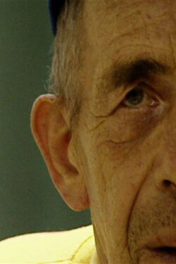 Geel (2006)