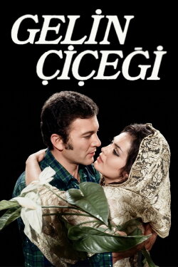 Gelin Çiçeği (1971)
