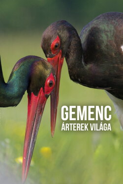 Gemenc – The World of Floodplains (2017)