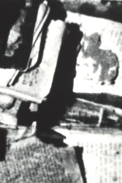 genizah; passages from the lublin book graveyard (2018) genizah; passages from the lublin book graveyard (2018)