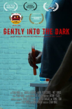 Gently Into the Dark (2019) Gently Into the Dark (2019)