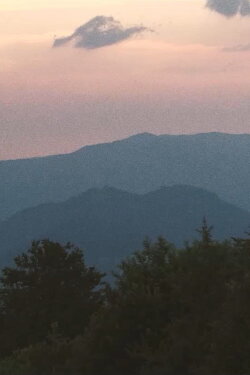 Georgia, the Open Wound (2020) Georgia, the Open Wound (2020)