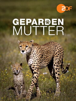 Gepardenmutter (2012)