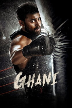 Ghani (2022) Ghani (2022)