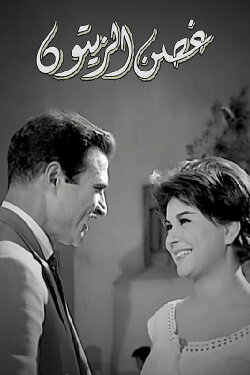Ghosn Al-Zaytoun (1962) Ghosn Al-Zaytoun (1962)