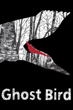 Ghost Bird (2009) Ghost Bird (2009)