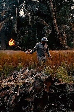 Ghost of The Fallah (2020) Ghost of The Fallah (2020)