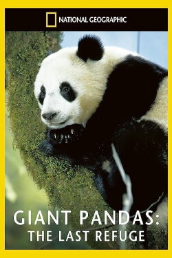 Giant Pandas: The Last Refuge (1994) Giant Pandas: The Last Refuge (1994)