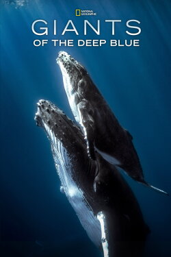 Giants of the Deep Blue (2017) Giants of the Deep Blue (2017)