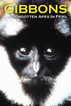 Gibbons: The Forgotten Apes In Peril (2009) Gibbons: The Forgotten Apes In Peril (2009)