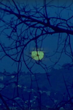 Giizis Mooka’am: Giiwe (Sun/Moon Rise: She Goes Home) (2016) Giizis Mooka’am: Giiwe (Sun/Moon Rise: She Goes Home) (2016)