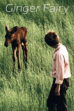 Ginger Fairy (1987) Ginger Fairy (1987)