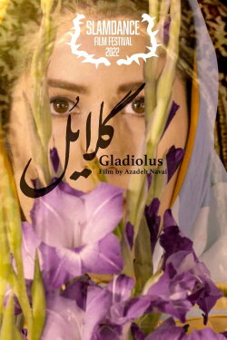 Gladiolus (2022)