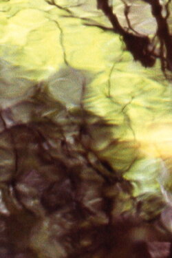 Gladly Given (1997) Gladly Given (1997)