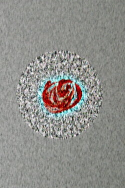 Glimpse of a Brain (2023) Glimpse of a Brain (2023)