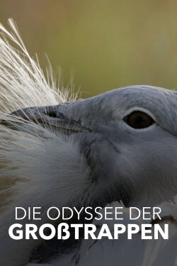Glorious Bustards (2021) Glorious Bustards (2021)