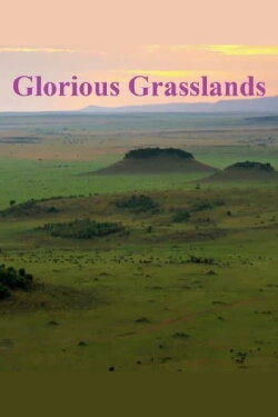 Glorious Grasslands (2021)
